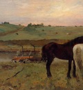 Horses in a Meadow 1871 National Gallery of Art Washington USA