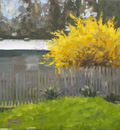 BackYard YellowBush