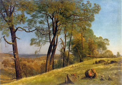 Bierstadt Albert Landscape Rockland County California