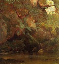 Bierstadt Albert Ferns and Rocks on an Embankment