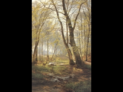 A Woodland Scene With Deer2