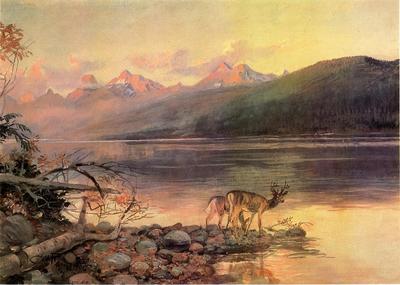 Russell Charles Marion Deer at Lake McDonald