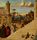 CIMA da Conegliano The Presentation Of The Virgin