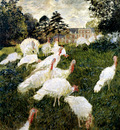 Monet The Turkeys