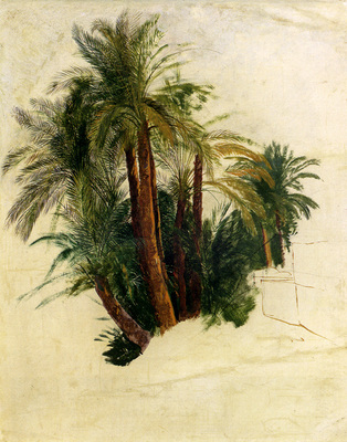 Lear Edward Study Of Palm Trees