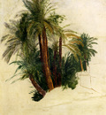 Lear Edward Study Of Palm Trees
