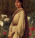 Long Edwin Longsden Eastern Lily