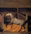 Sartorius Francis A Dappled Grey In A Stall