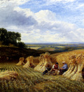Cole George Harvest Field