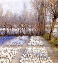 Hitchcock George Spring Crosuc Fields