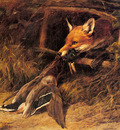 Hardy Heywood Returning To The Foxs Lair
