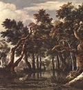 RUISDAEL Jacob Isaackszon van The Marsh In A Forest