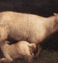 BASSANO Jacopo Sheep And Lamb