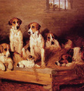 Foxhounds and terriers in a Kennel