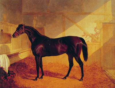 Mr Johnstones Charles XII in a Stable