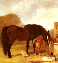 Herring Snr John Frederick Horse And foal Watering At A Trough