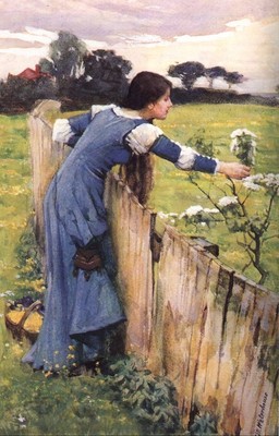 The Flower Picker JW