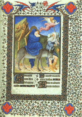 bfol63