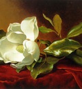A Magnolia on Red Velvet ATC
