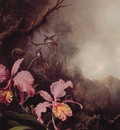 Two Orchids in a mountain Landscape