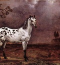 POTTER Paulus The Spotted Horse