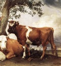 POTTER Paulus Young Bull