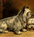 Hedley Ralph Two Terriers
