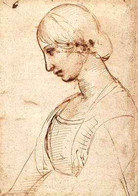 Raphael Waist length Figure of a Young Woman