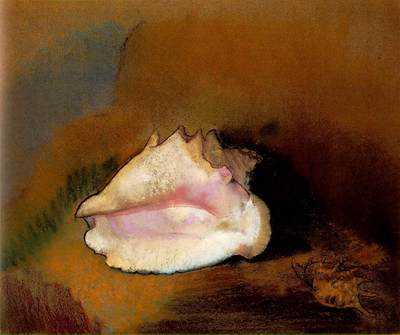 redon coquille