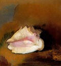 redon coquille