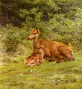 Bonheur Rosa Doe And Fawn In A Thicket