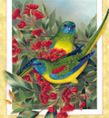 p australian birds cal2003