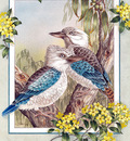 p australian birds cal2003