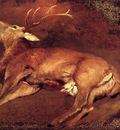 Landseer Sir Edwin Study Of A Dead Stag