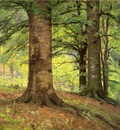 Steele Theodore Clement Beech Trees