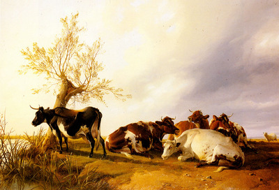 Cooper Thomas Sidney Dairy Cows Resting