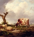 Cooper Thomas Sidney A Cow With Sheep In A Landscape