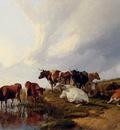 Cooper Thomas Sidney Evening In The Meadows