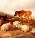 Cooper Thomas Sidney Rams And A Bull In A Highland Landscape
