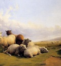 cooper Thomas Sidney Sheep In An Extensive Landscape