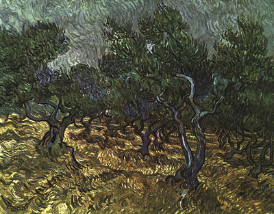 van gogh vincent the olive grove