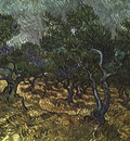van gogh vincent the olive grove