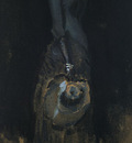Whistler James Abbott McNeill Lady In Gray