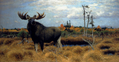 Kuhnert Wilhelm Elks In A Marsh Landscape