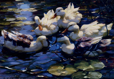 Koester Alexander Five Ducks In A Pond