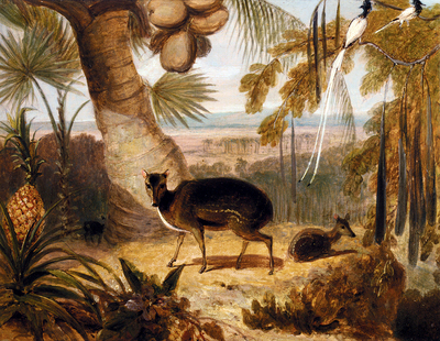 Daniell William Musk Deer And Birds Of Paradise