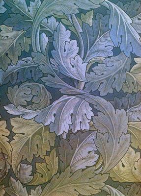 blueacanthus