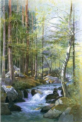 Haseltine William Stanley Torrent in Wood behind Mill Dam Vahrn near Brixen Tyrol