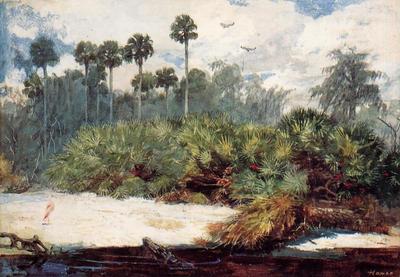 Homer Winslow In a Florida Jungle