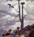 Homer Winslow Osprey s Nest